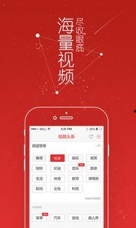 湛江今日头条视频大全,聚焦城市热点，尽览民生百态