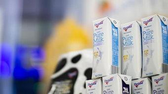 网红鲜奶什么意思,揭秘网络红人背后的美味传奇