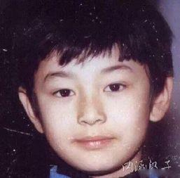 北影全班都是明星,北影全班明星风采大盘点