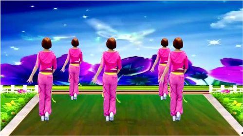 好看的网红舞蹈少年派,舞动青春，网红舞蹈新风尚