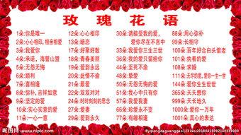 玫瑰花网红展板图片,网红展板中的玫瑰花盛宴