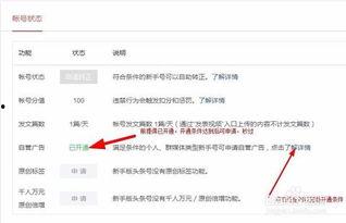 头条自营广告需要电脑吗